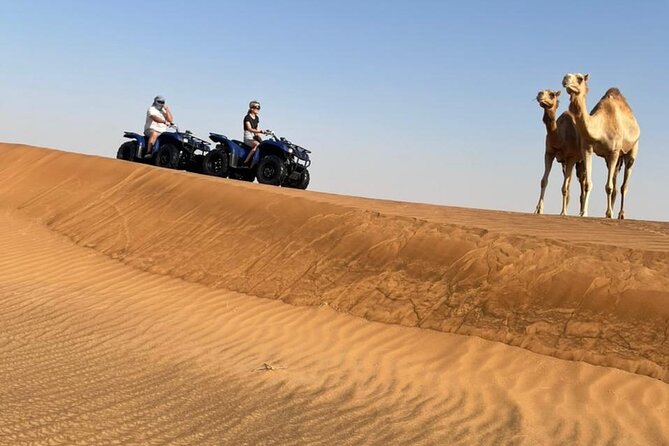 Dubai: Unique MORNING 4WD Red Dunes Safari Incl. 30MIN Quad Bike - Convenient Hotel Pickup and Drop-off