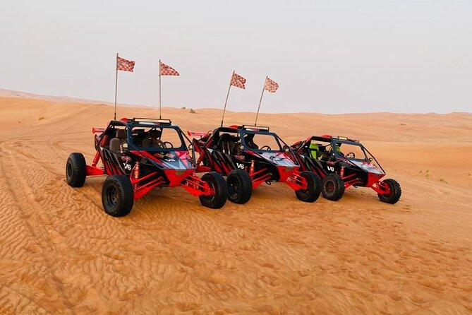 Dune Buggy Ride in Red Dunes + Desert Safari- Private Experience - Featured Badge of Excellence