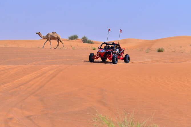 Dune Buggy Ride With Private BBQ Dinner in the Desert - Main Course and Dessert