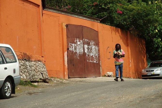 Dunns River Falls Plus Bob Marley Nine Mile Private Tour - Dunns River Waterfalls