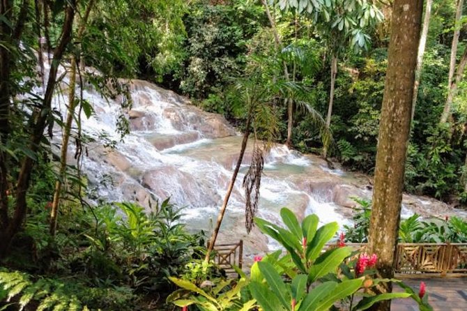 Dunns River Falls Private Tour - Exploring Dunns River Falls