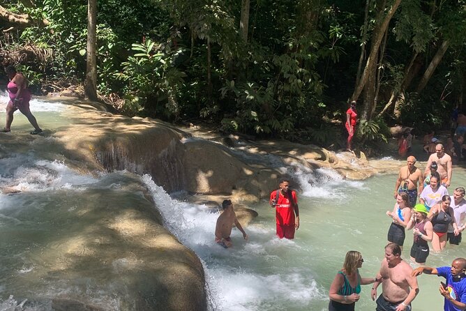 Dunns River Falls, Zipline Adventure From Kingston - Visitors Ratings and Reviews