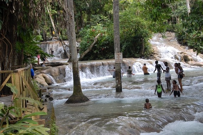 Dunns River Tour From Falmouth - Tour Highlights