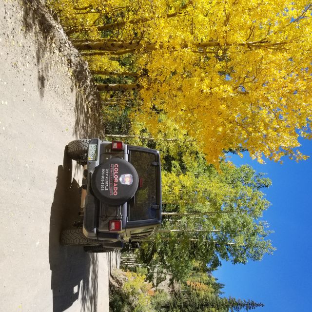 Durango: Backcountry Jeep Tour to the Top of Bolam Pass - Capturing Scenic Views