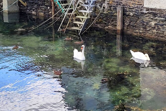 Dusk Walking Tour of Fowey - Booking Information