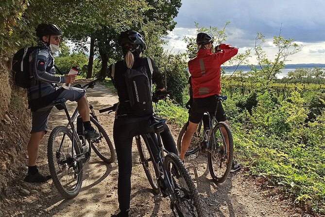 E-Bike Tour and Wine Tasting From Bardolino - Local Culture and Exploration