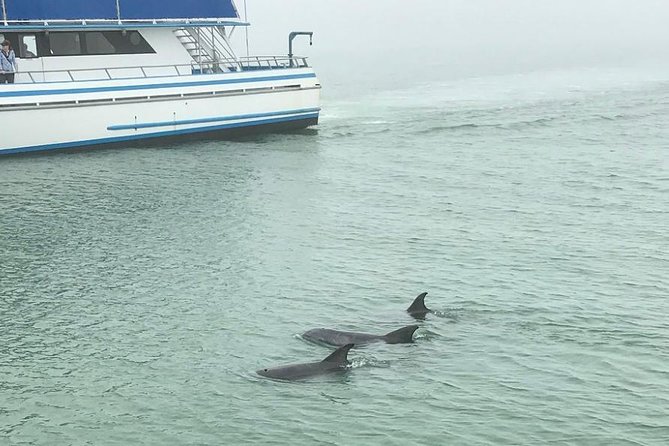 Eco and Dolphin Watch Tour of South Padre Island - Tour Itinerary