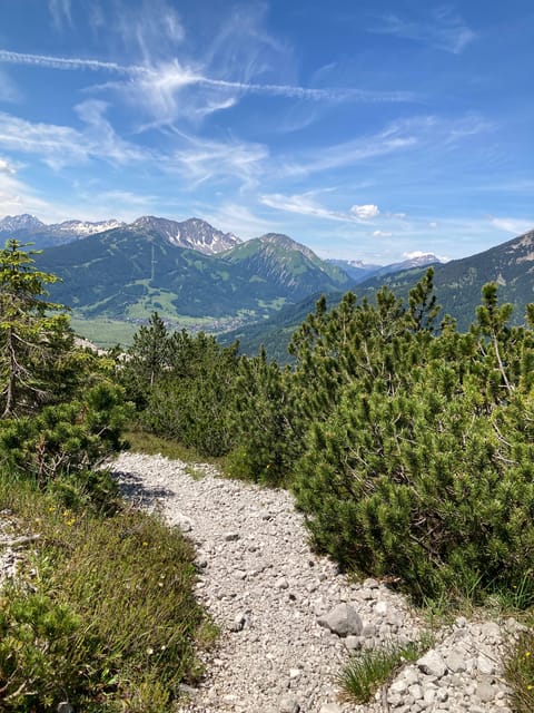 Ehrwald: Trail Running Tour - Alpine Terrain Techniques