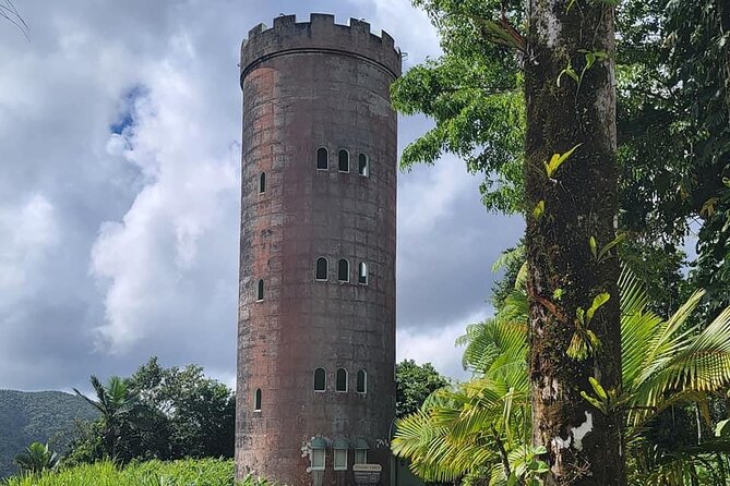 El Yunque National Forest Guided Tour With Transport - Exploring El Yunque National Forest