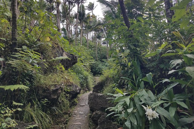 El Yunque Rainforest Full Day Private Tour - Reaching the Summit