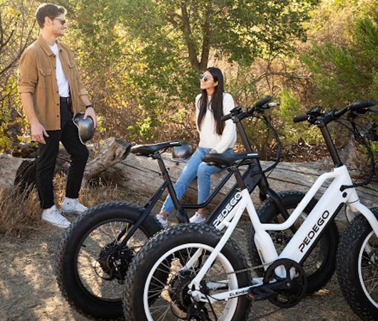 Electric Bike Rentals Leesburg, VA: Full Day or Half Day - Navigating the W&OD Trail