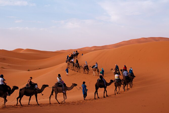 Essaouira Delight: A Marrakech Day Escape - Highlights of the City