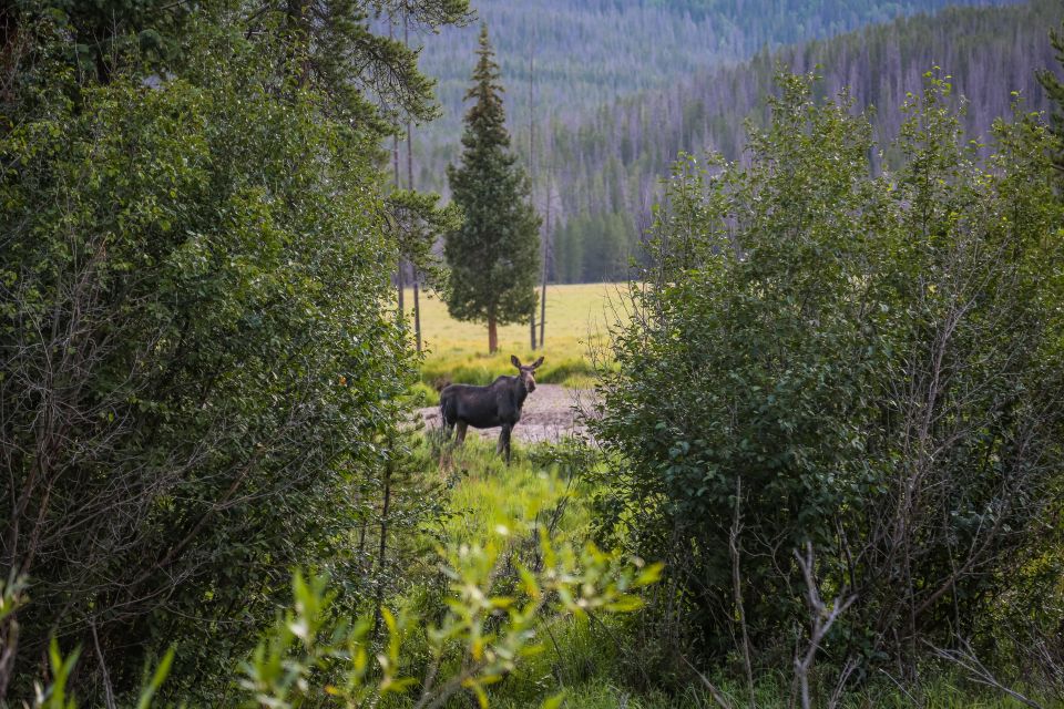 Estes Park: Rocky Mountain Full-Day Guided Tour - Natural Wonders