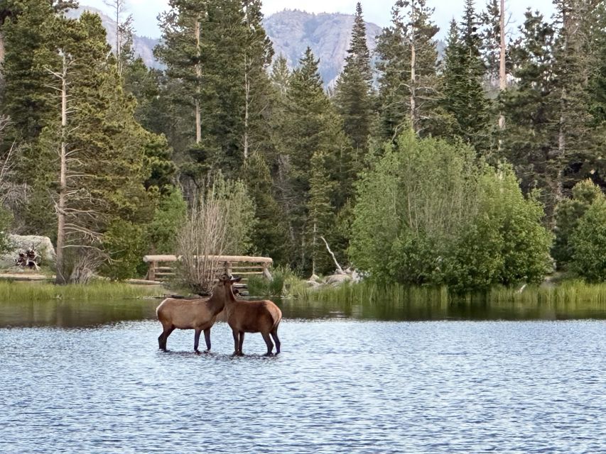 Estes Park: Rocky Mountain National Park Glass-Top Bus Tour - Location and Tour Company