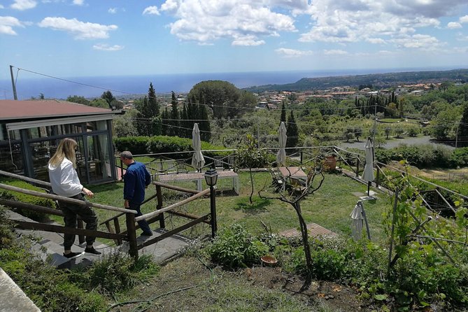 Etna and Wines Tour - Tasting Sicilian Wines