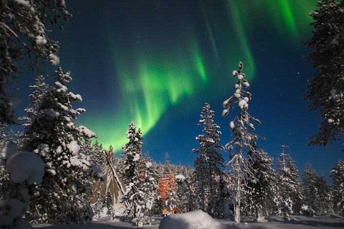 Evening Escape - Snowmobile Safari and Campfire in Rovaniemi - Observing the Arctic Skies