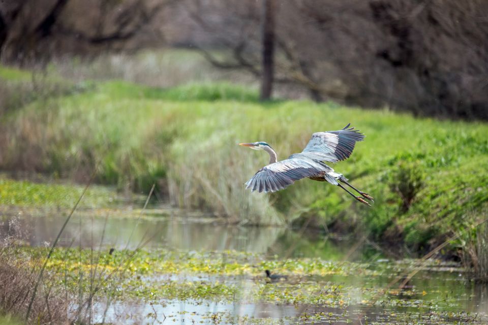 Everglades National Park: Mangrove Tunnel Kayak Eco-Tour - Booking and Cancellation