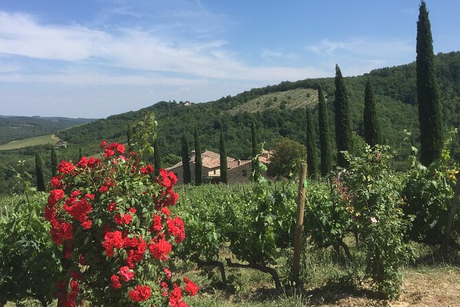 Exclusive Private Tour to Siena and San Gimignano - Reviews and Ratings