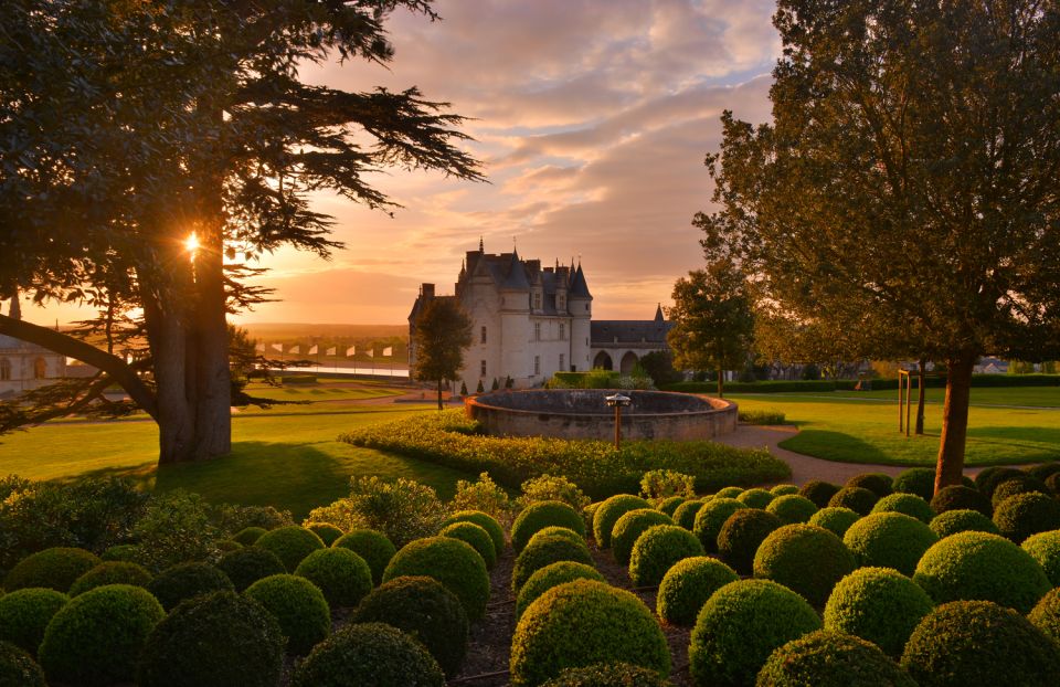 Exclusive Wine Day Trip Loire Valley From Paris - Gourmet Lunch Experience