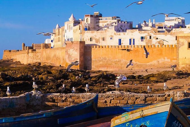 Excursion : Full Day Trip to Essaouira Mogador From Marrakech - Reviews and Cancellation Policy