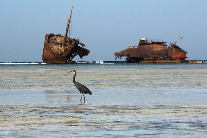 Excursion to Nabq National Park and Oasis Bay Sharm El Sheikh - Tour Group Size and Accessibility