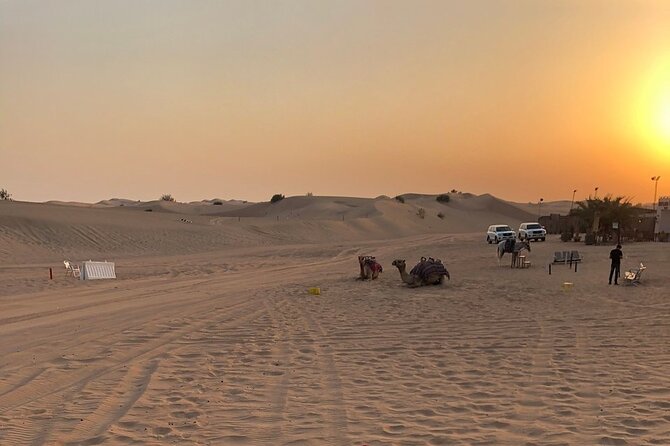 Exhilarating Desert Safari, Including BBQ Dinner From Dubai - Important Traveler Considerations