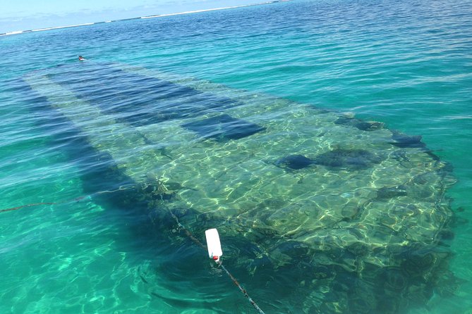 Experience on a Boat off the Beaten Path of the Most Beautiful Lagoon in Guadeloupe - Personalized Attention of Small-Group Guide