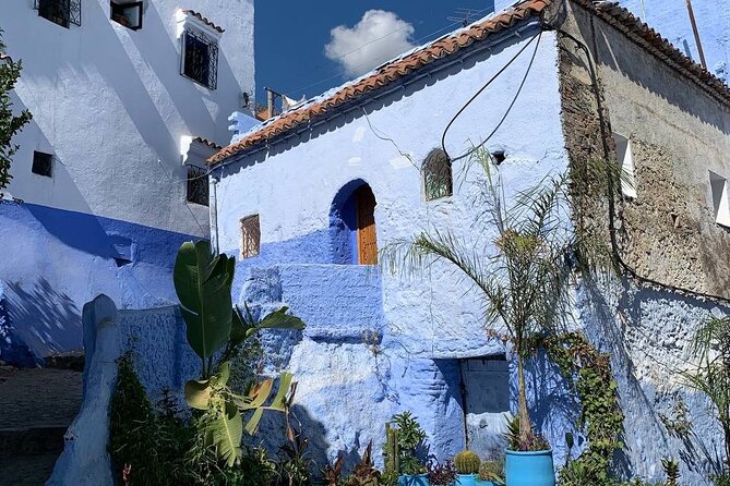 Explore Chefchaouen Like a Local - Exploring Chefchaouens Highlights