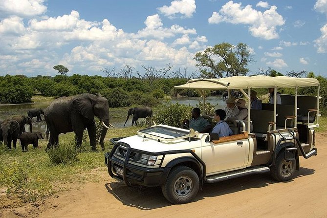 Explore Chobe National Park With a Day Trip From Victoria Falls - Highlights of the Wildlife Sightings