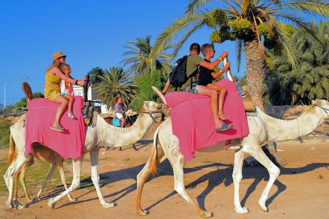 Explore Djerba With Our Four-Legged Friends - Tour Highlights