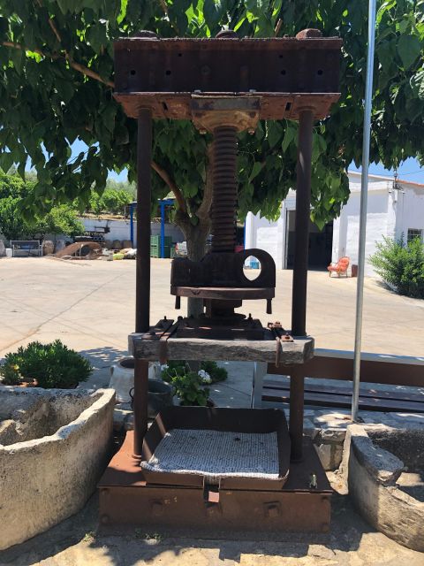 Explore the Secrets of Wine and Olives in Rethymno - Customer Feedback