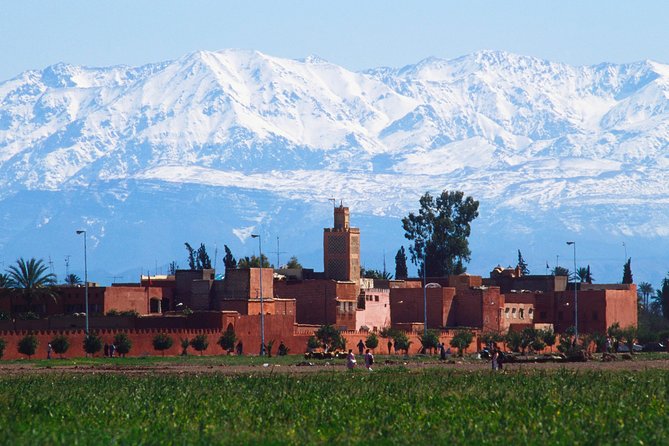 Exploring Marrakesh in Half-Day Sightseeing Tour - Exploring Menara Gardens