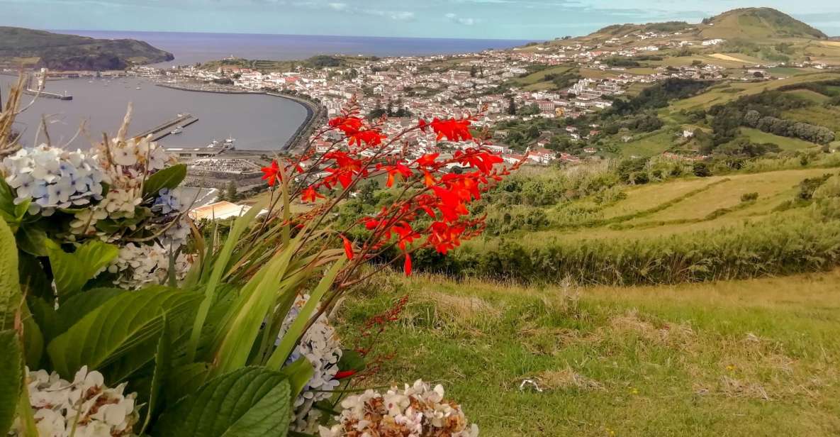 Faial Island: Half Day Tour - the Main Attractions - Scenic Views of Nearby Islands