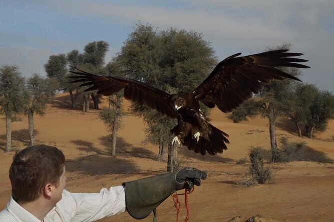 Falcon 1—Private Dubai Falconry Safari - Logistics and Cancellation Policy