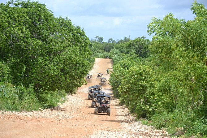 Family, Buggy Adventures, Tours, Macao Beach. Lowest Price. - Buggy Options