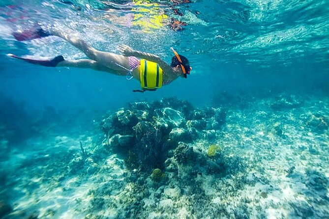 Family Fun-Snorkeling Activity in Montego Bay W/Lunch Stop - What to Bring and Expect