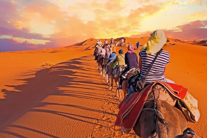 Fez to Sahara Desert Tour 3 Days 2 Nights - Exploring Merzouga and Ifrane