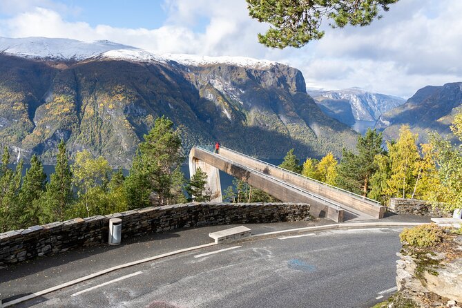 Flam: The Spectacular Stegastein Viewpoint Tour (Small Group) - Admission Included in Price