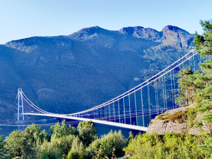 Flexible Tour to Hardangerfjord Vøringsfossen or Glacier - Scenic Waterfalls and Bridges