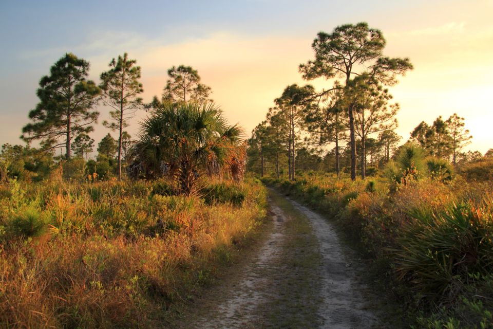 Florida: Big Cypress National Preserve Driving Audio Tour - Miccosukee Indian Village