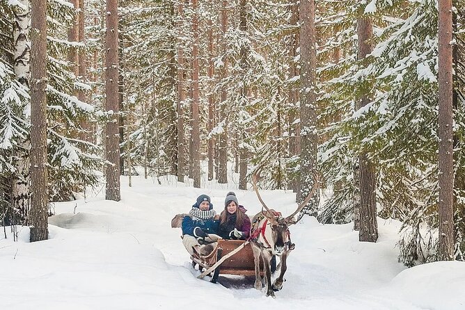 Forest Trail Reindeer Safari - Language Support