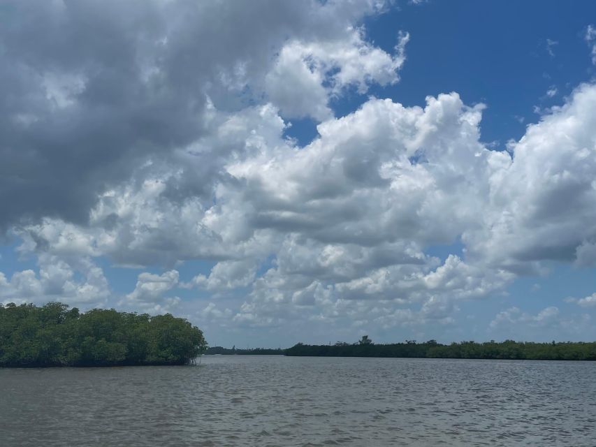 Fort Pierce: 6-hr Mangroves, Coastal Rivers & Wildlife in FL - What to Bring