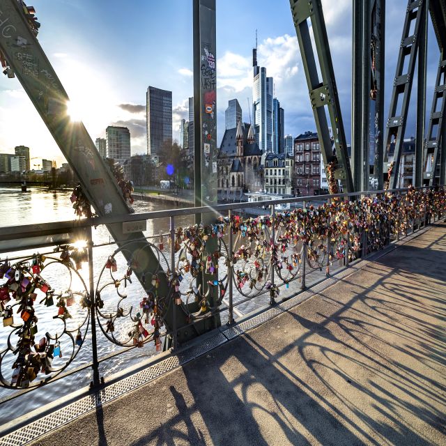 Frankfurt: Skip-The-Line Städel Museum With Guided City Tour - Accessibility