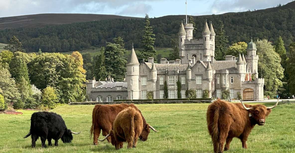 From Aberdeen: Balmoral Estate & Royal Deeside Tour - Tour Duration and Group Size