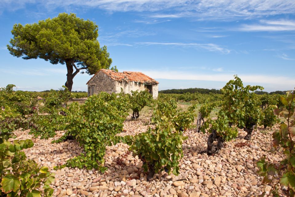 From Aix-En-Provence: Châteauneuf Du Pape Wineries Day Trip - Winery Visits and Tastings