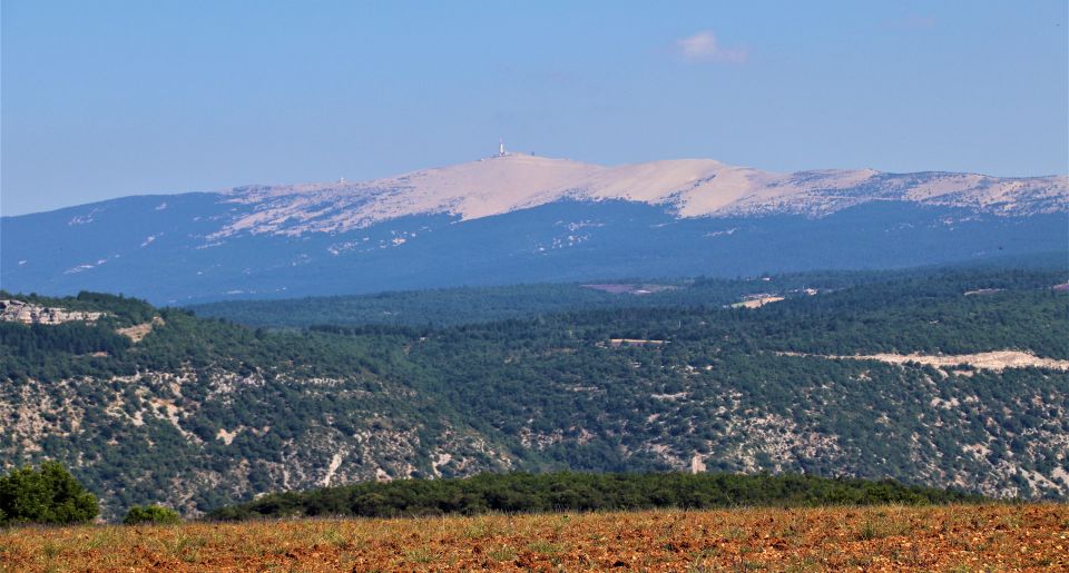 From Aix En Provence: Private Tour of Sault in Van - Luberon Regional Park