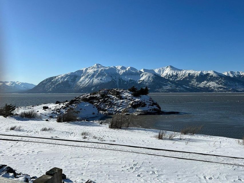 From Anchorage: Alaska Wildlife Center & Turnagain Arm Tour - Natural Wonders