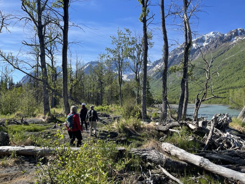 From Anchorage: Valley and Forest Hike With Naturalist Guide - Frequently Asked Questions