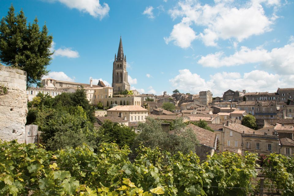 From Bordeaux: Private Wine Tour to Saint-Émilion - Inclusions in the Tour