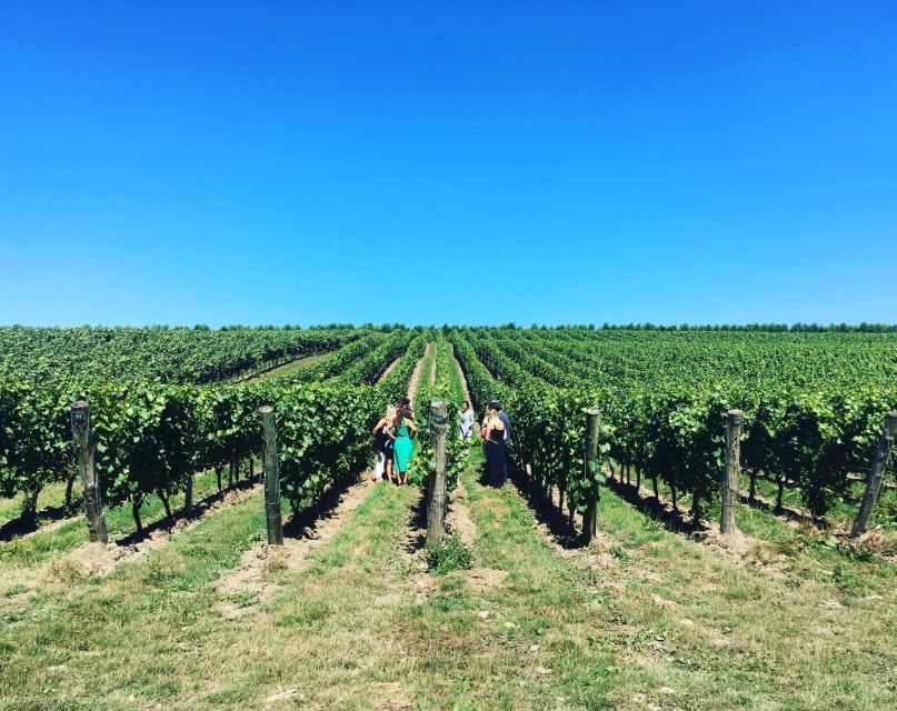 From Brighton: Sussex Wine Tour on a Vintage Bus With Lunch - Dining Among the Vines